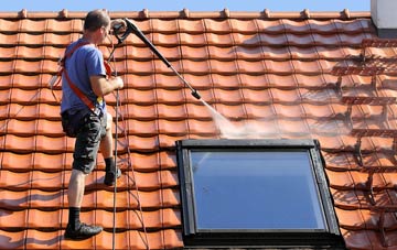roof cleaning Pleck