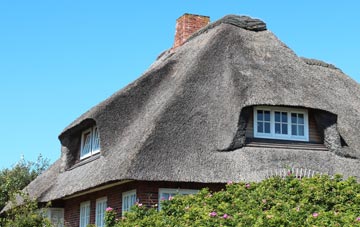 thatch roofing Pleck